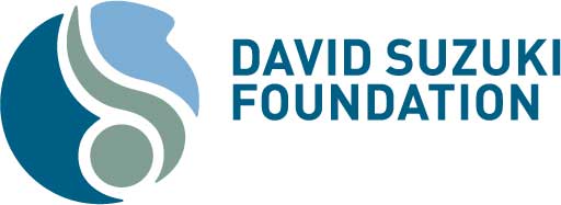 David Suzuki Foundation